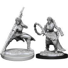 D&D Mini: Human Monk
